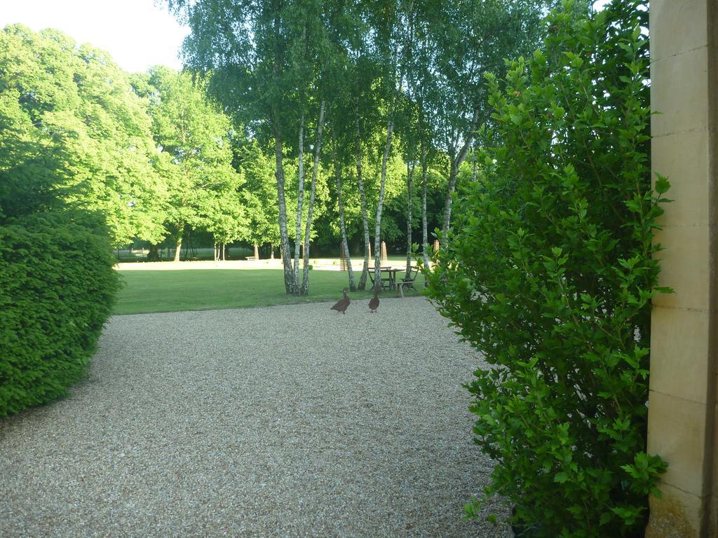 Bed and Breakfast Chateau De Paradis (Adults Only) La Croix-en-Touraine Zewnętrze zdjęcie